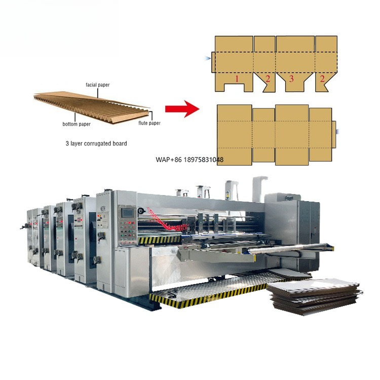 Automatic 4 Color Cartoning Pr - Die Cutting Machine recension och pris