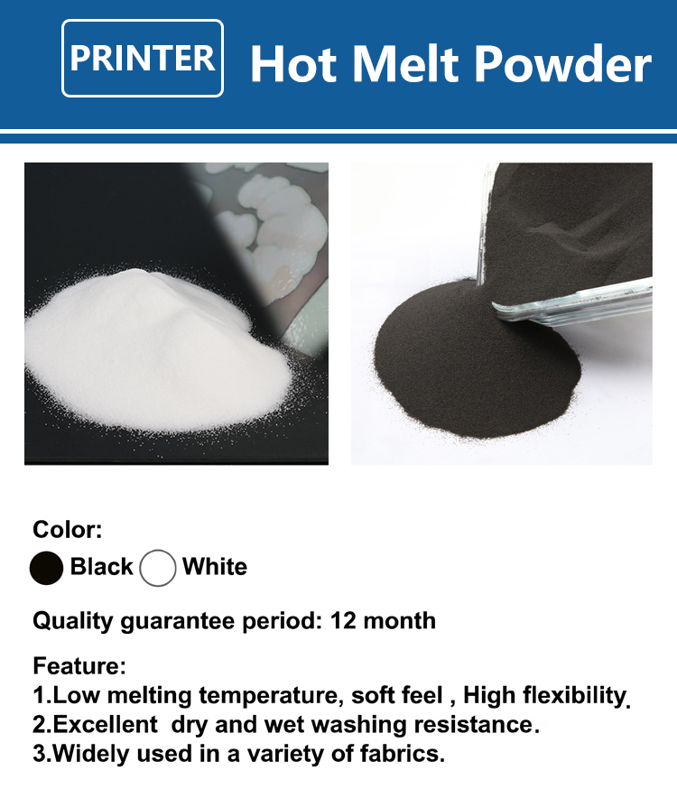 1000g 1kg DTF Powder Fine Powd - Dtf Printer Machine recension och pris